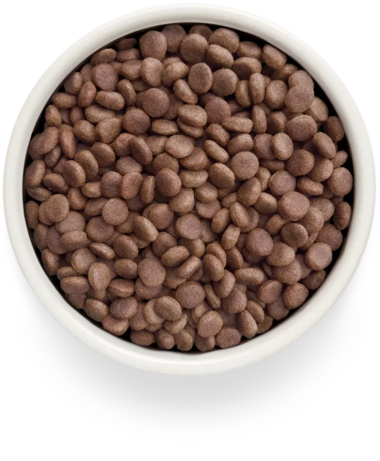 GASTROINTESTINAL ADULT ALL BREEDS – TURKEY