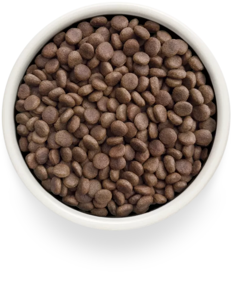 HEPATIC ADULT ALL BREEDS – TURKEY